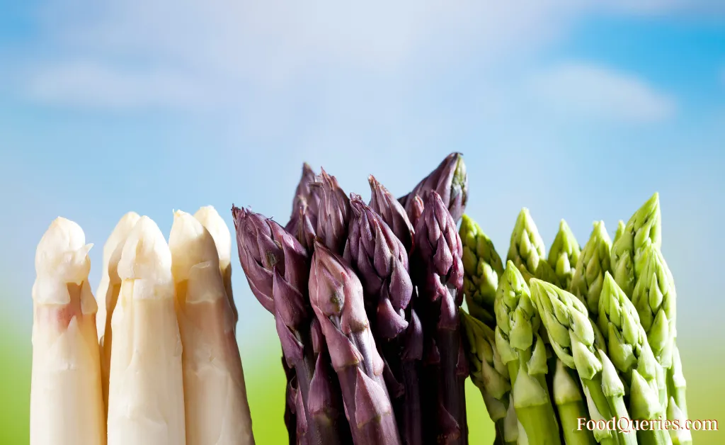 Different types of asparagus