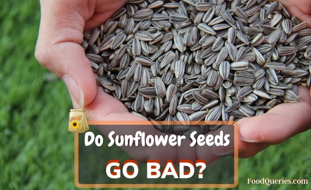 Do sunflower seeds go bad